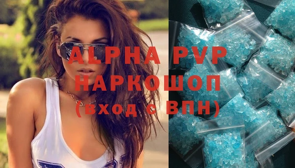 стаф Алексин