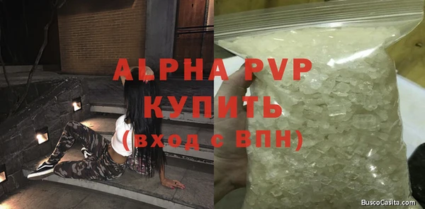 стаф Алексин