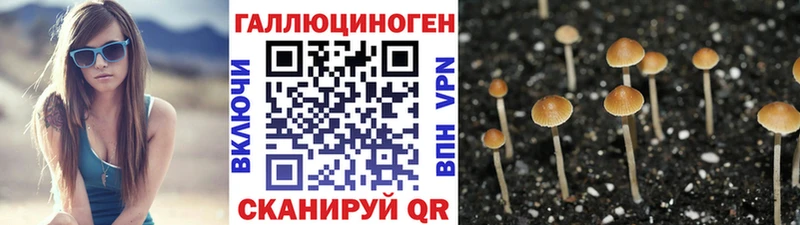 Галлюциногенные грибы Cubensis  купить наркотик  Самара 
